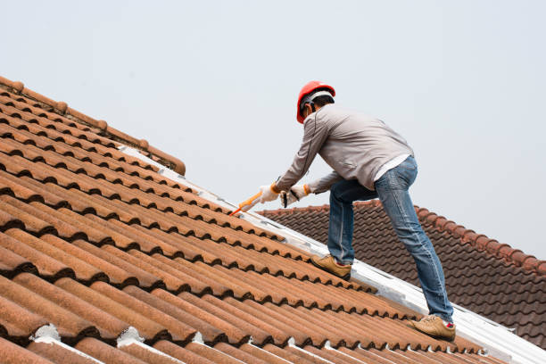 Roof Insulation in Lovejoy, GA